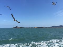 -海驴岛(荣成市)