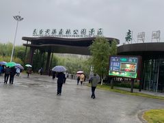 -黄海国家森林公园