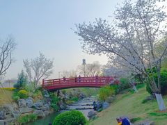 -羊山湖公园