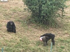 -石家庄市动物园