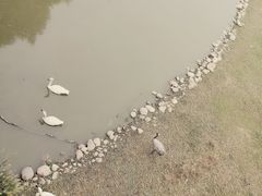-北京麋鹿生态实验中心