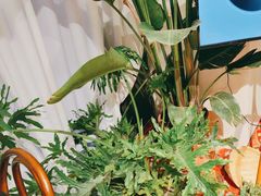 -Thai Basil罗勒叶泰式餐厅(时代天街店)