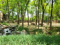 -北京野生动物园