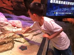 -沈阳海洋探索中心