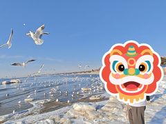 -老虎石海上公园