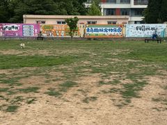 -趣玩宠物乐园寄养训犬训狗游泳池