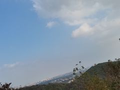 -上海佘山国家森林公园西佘山园