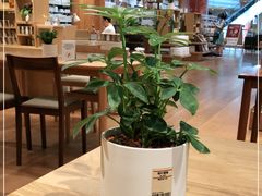 -MUJI无印良品(环球港店)
