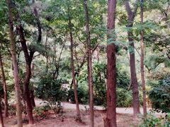 -观象山公园