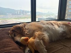 -蛙小侠(珠海华发商都店)