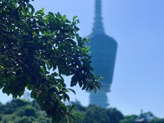 -梧桐山风景名胜区