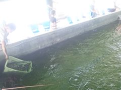 -会江钓鱼钓虾烧烤场