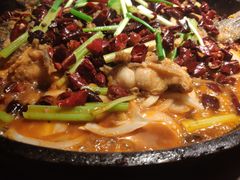 老板恋上鱼-老板恋上鱼(高新万达店)