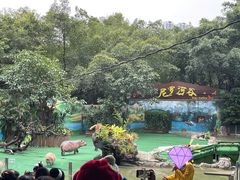 -广州长隆飞鸟乐园