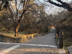 -沈阳市东陵公园