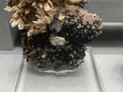 -湖南省地质博物馆