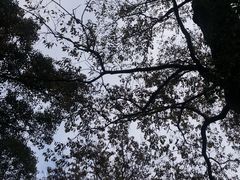 -灵隐飞来峰景区