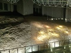 -世界恐龙谷景区