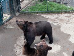 -大连森林动物园