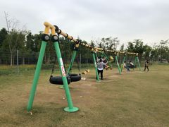 -上海长兴岛郊野公园