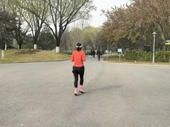 -望湖公园