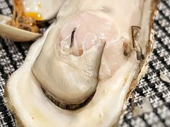 -广州万富希尔顿酒店-感趣自助餐厅·生蚝海鲜刺身