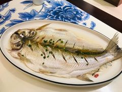 清蒸白鱼-姑苏家宴·苏帮菜·松鼠桂鱼(苏州总店)