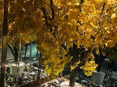 -丽晶大班SPA(大沽店)