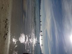 白沙滩-白沙滩