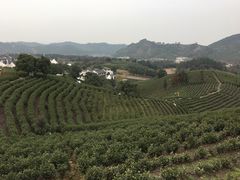 -帐篷客·溪龙茶谷度假酒店