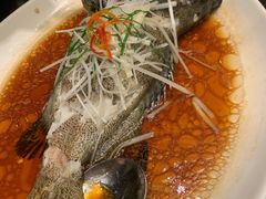 -环球港凯悦 · 享悦中餐厅