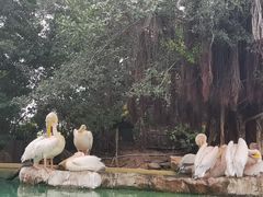 -珠海长隆海洋王国