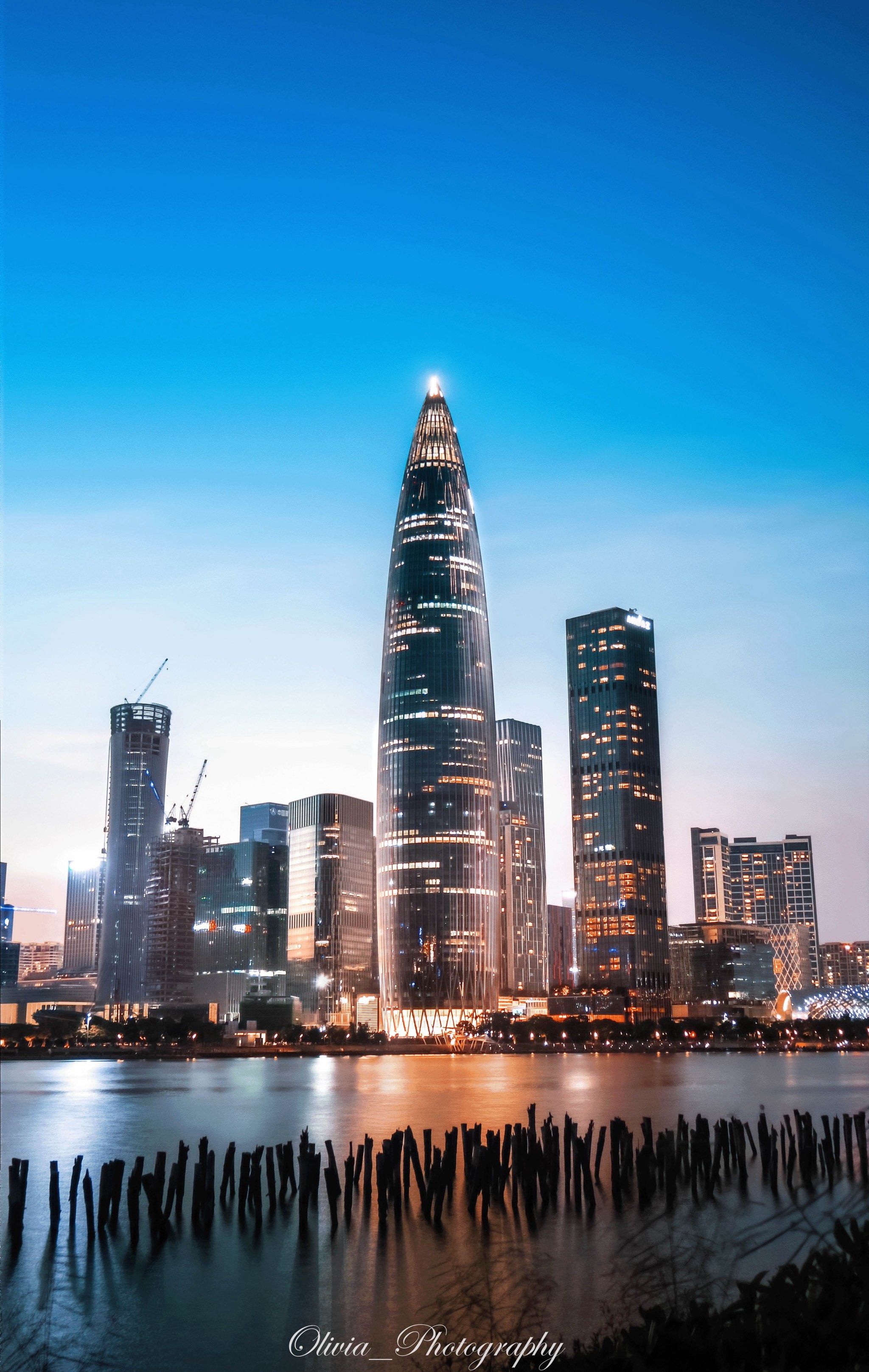 来深圳必打卡人才公园