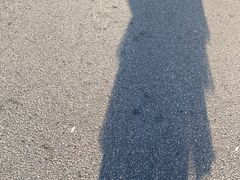 -溪岸路花鸟市场