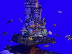 -海合安武汉极地海洋公园