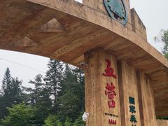 -五营国家森林公园