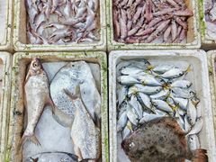 -隆都四季香饭店(碧海路店)