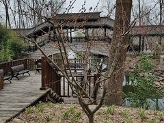 -合肥滨湖国家森林公园