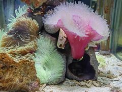 -太平洋海底世界