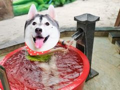 -望儿山温泉水乐园