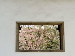 -秋霞圃