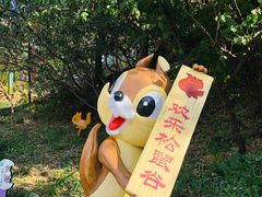 -欢乐松鼠谷