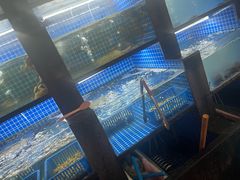 -老五烧烤(盘金华府总店)