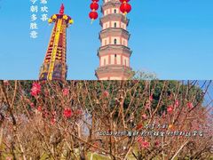-广州莲花山旅游区