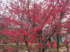 -宝山国家矿山公园