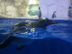 -华夏文旅西安度假区