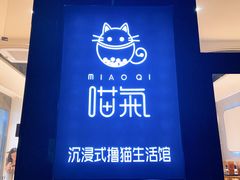 门面-啵啵喵·猫咖(攀华国际店)