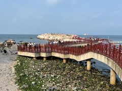 -养马岛旅游度假区