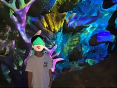 -青岛嘉年华主题乐园