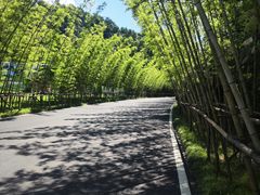 -婺源月亮湾